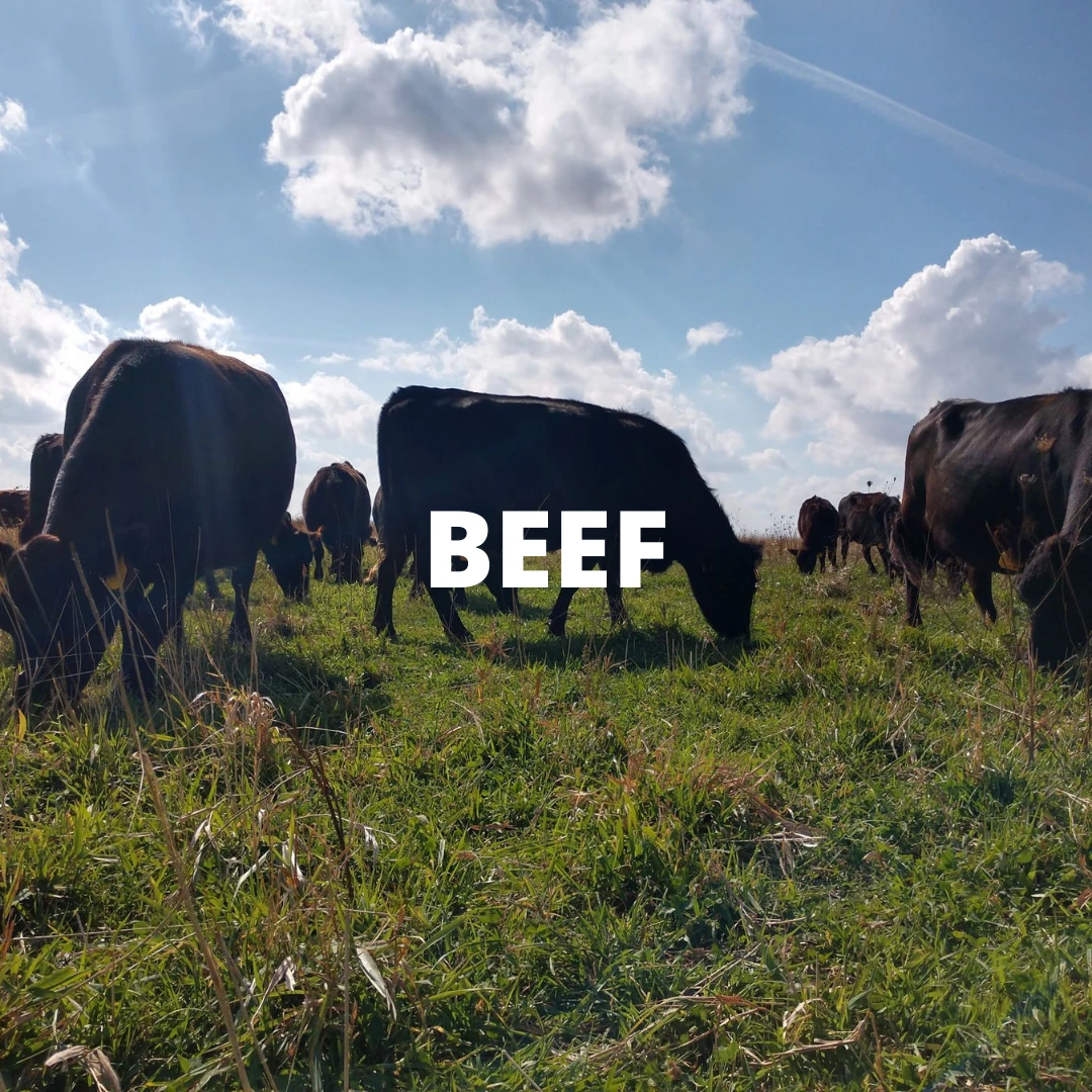 Shop beef