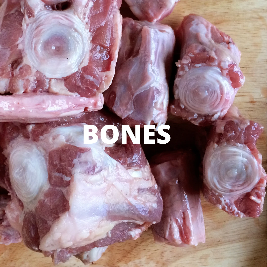 Shop bones