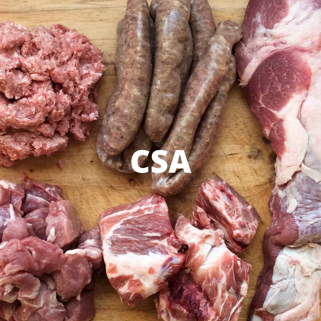 Shop csa