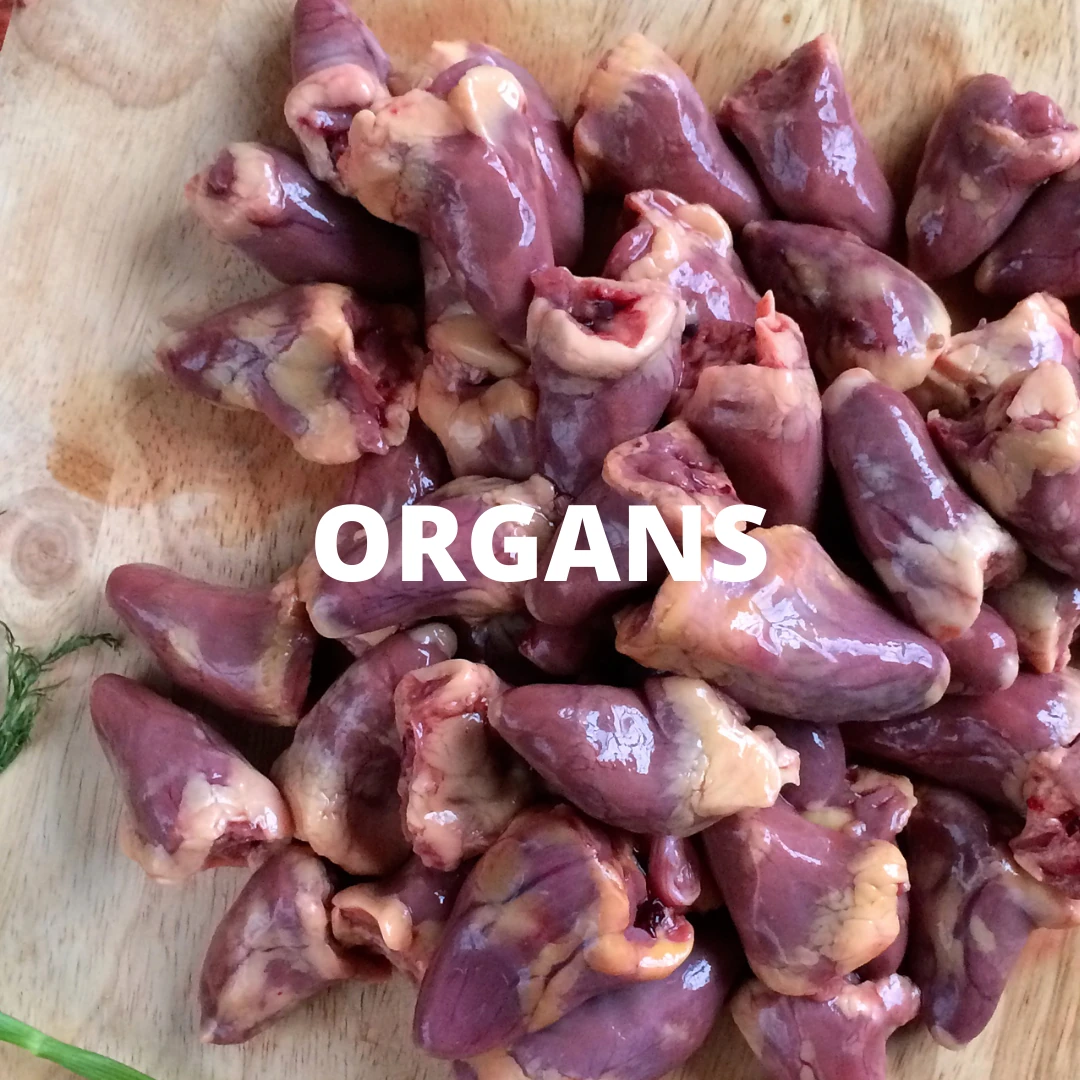 Shop organs