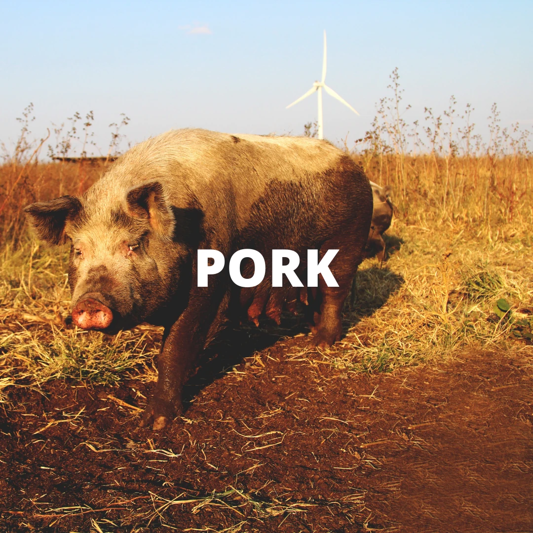 Shop pork