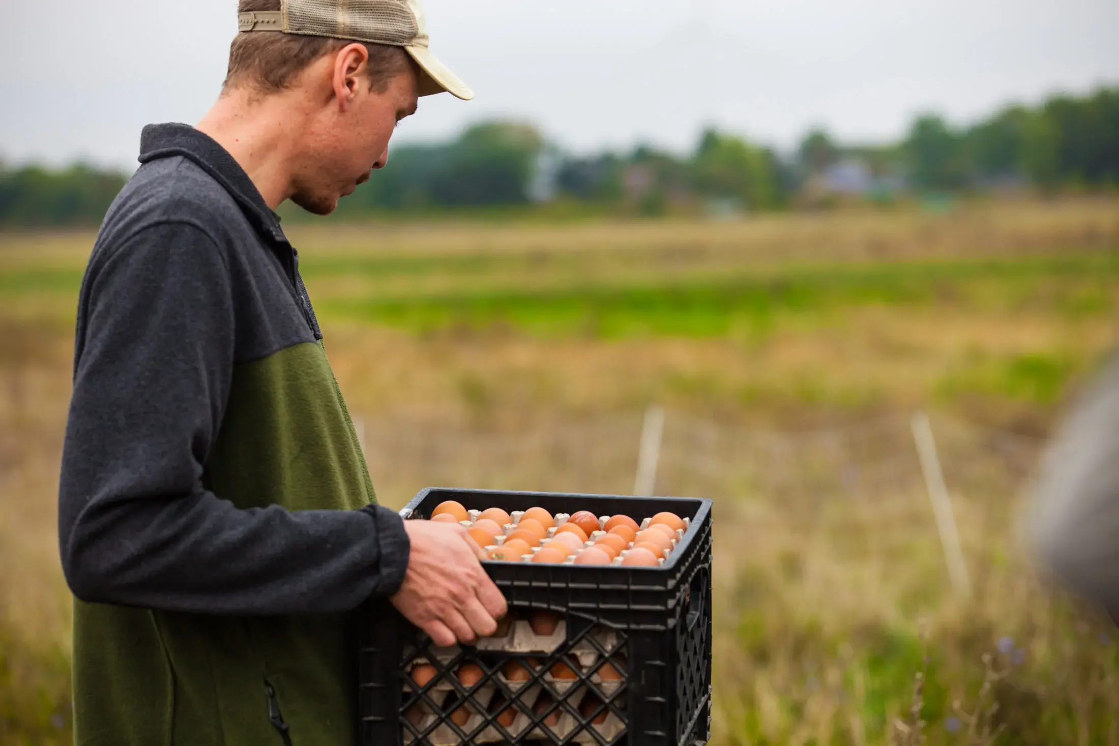 Farmhand holding a full-crate of freshly-collected eggs