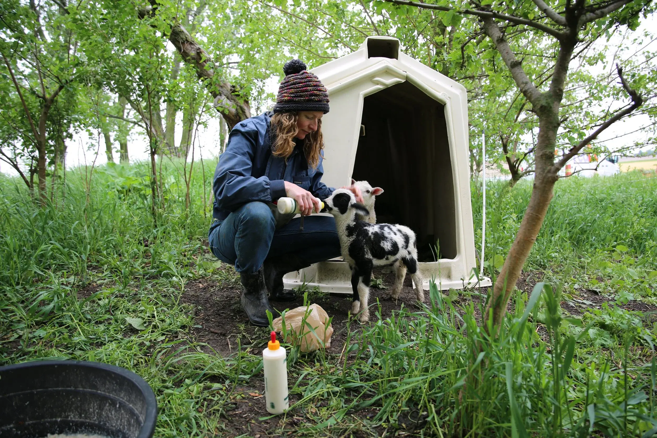 Photo of Raya Carr: Shepherdess, Founder
